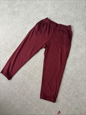 Icebreaker Port Ankle Track Pants Crush II. Like new!